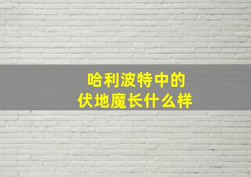 哈利波特中的伏地魔长什么样