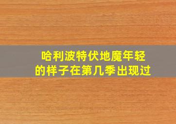 哈利波特伏地魔年轻的样子在第几季出现过