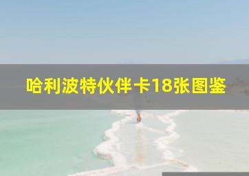 哈利波特伙伴卡18张图鉴