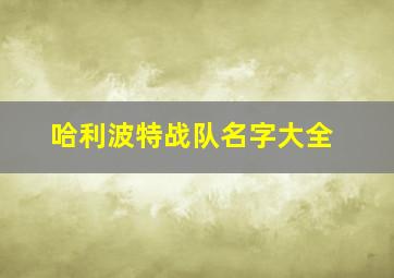 哈利波特战队名字大全