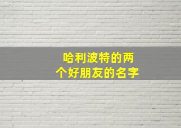 哈利波特的两个好朋友的名字