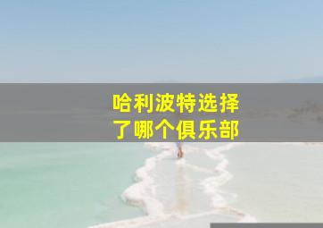 哈利波特选择了哪个俱乐部