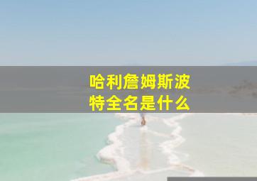 哈利詹姆斯波特全名是什么