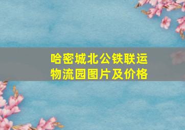 哈密城北公铁联运物流园图片及价格