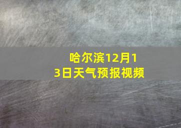 哈尔滨12月13日天气预报视频