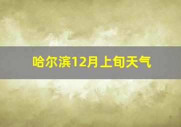 哈尔滨12月上旬天气