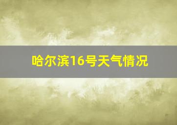 哈尔滨16号天气情况