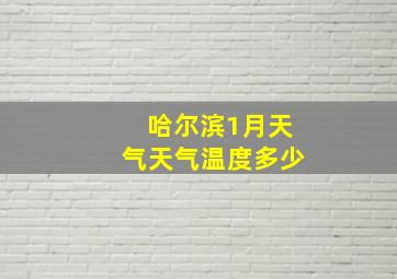 哈尔滨1月天气天气温度多少