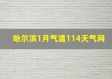 哈尔滨1月气温114天气网