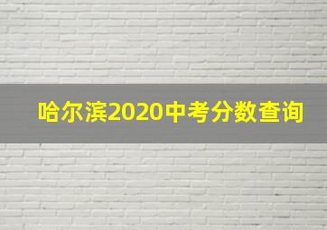 哈尔滨2020中考分数查询