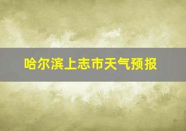 哈尔滨上志市天气预报