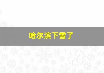 哈尔滨下雪了