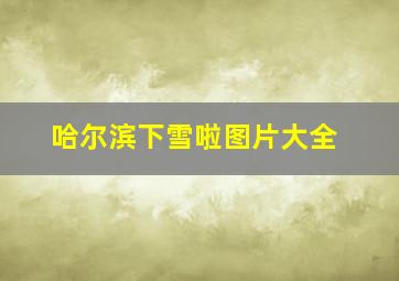 哈尔滨下雪啦图片大全