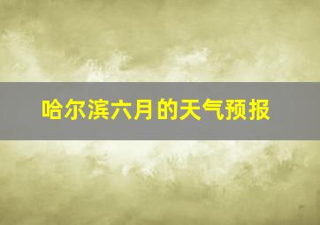 哈尔滨六月的天气预报