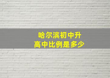 哈尔滨初中升高中比例是多少