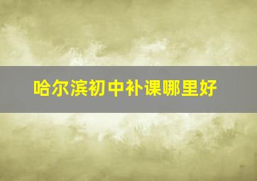 哈尔滨初中补课哪里好