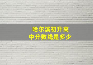 哈尔滨初升高中分数线是多少