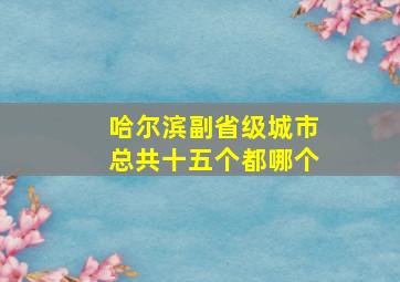 哈尔滨副省级城市总共十五个都哪个