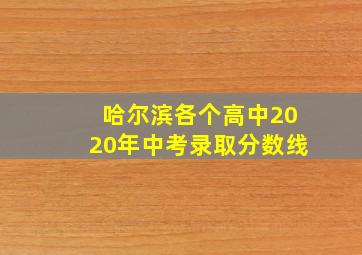 哈尔滨各个高中2020年中考录取分数线