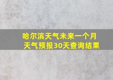 哈尔滨天气未来一个月天气预报30天查询结果