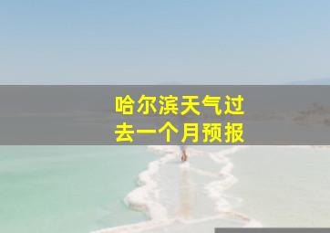 哈尔滨天气过去一个月预报