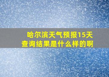 哈尔滨天气预报15天查询结果是什么样的啊