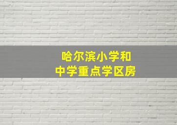 哈尔滨小学和中学重点学区房