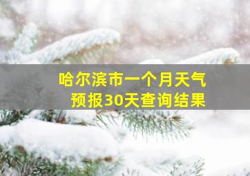 哈尔滨市一个月天气预报30天查询结果