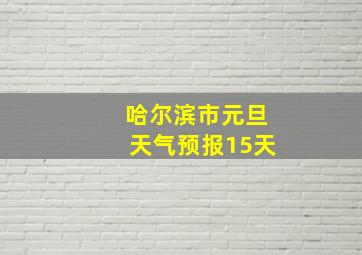 哈尔滨市元旦天气预报15天