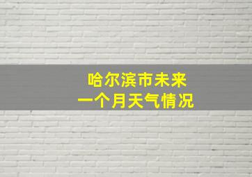 哈尔滨市未来一个月天气情况