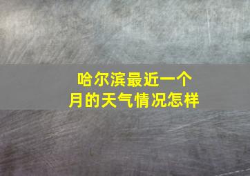 哈尔滨最近一个月的天气情况怎样