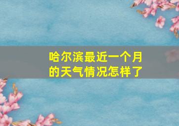 哈尔滨最近一个月的天气情况怎样了