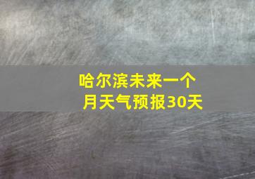 哈尔滨未来一个月天气预报30天