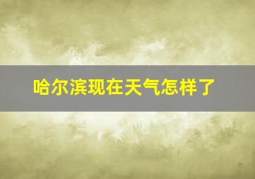 哈尔滨现在天气怎样了