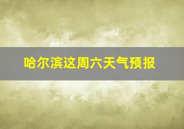 哈尔滨这周六天气预报