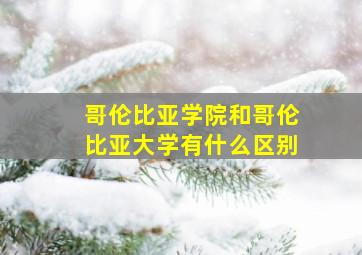 哥伦比亚学院和哥伦比亚大学有什么区别