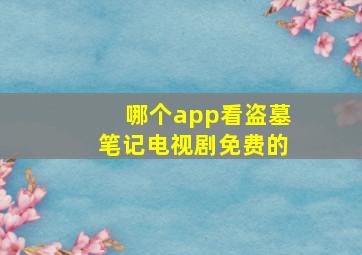 哪个app看盗墓笔记电视剧免费的