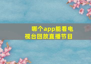 哪个app能看电视台回放直播节目