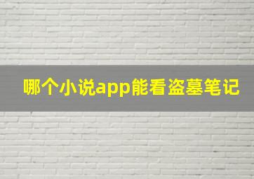 哪个小说app能看盗墓笔记