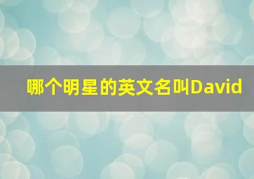 哪个明星的英文名叫David