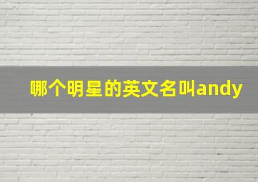 哪个明星的英文名叫andy