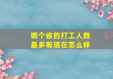 哪个省的打工人数最多呢现在怎么样