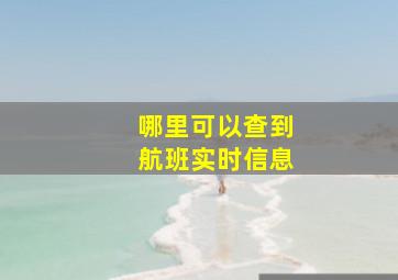 哪里可以查到航班实时信息