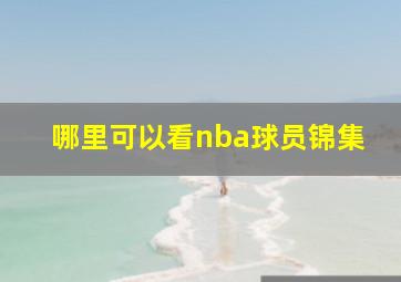 哪里可以看nba球员锦集