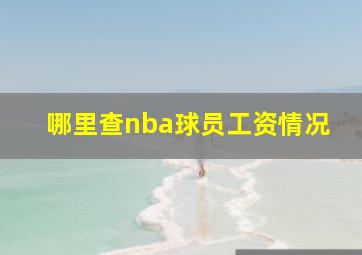 哪里查nba球员工资情况