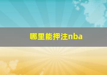 哪里能押注nba