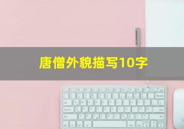 唐僧外貌描写10字