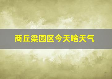 商丘梁园区今天啥天气