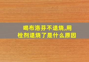 喝布洛芬不退烧,用栓剂退烧了是什么原因