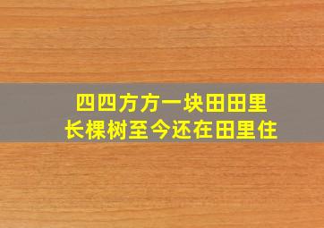 四四方方一块田田里长棵树至今还在田里住